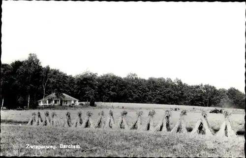 Ak Barchem Gelderland Niederlande, Zwiepseweg, Strohhaufen