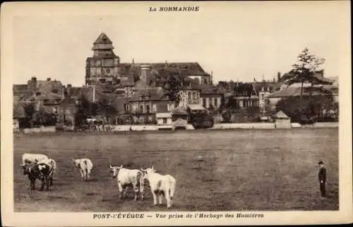 Ak Pont l'Évêque Calvados, Église, Panorama depuis l´Herbage des Humières