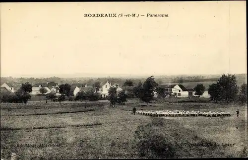 Ak Villevaudé Bordeaux Seine-et-Marne, Panorama