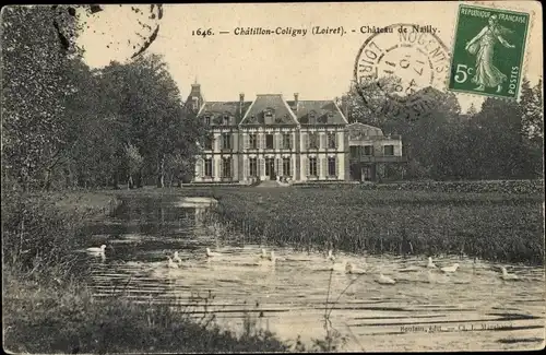 Ak Châtillon Coligny Loiret, Chateau de Nailly, Des Canards