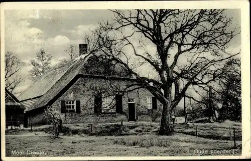 Ak Mooi Drenthe Niederlande, Oude boerderij
