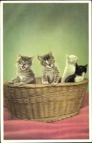 Künstler Ak Vier kleine Katzen in einem Weidenkorb