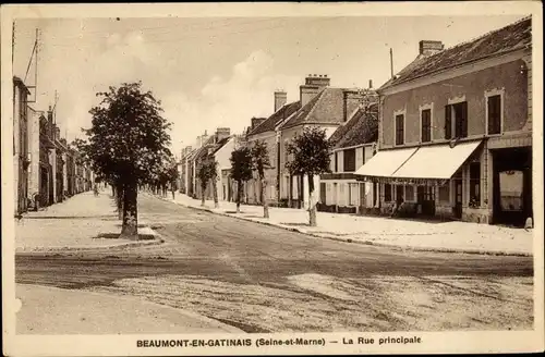 Ak Beaumont du Gâtinais Seine et Marne, Rue Principale