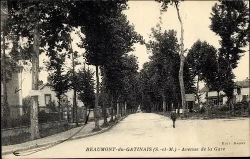 Ak Beaumont du Gâtinais Seine et Marne, Avenue de la Gare