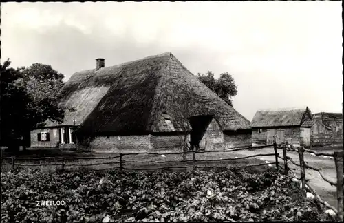 Ak Zweelo Drenthe, Haus mit Reetdach