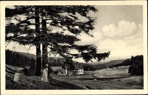 Ak Hermsdorf im Osterzgebirge, Wander- und Schullandheim