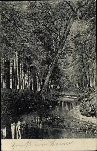 Ak Bad Rothenfelde am Teutoburger Wald, Partie bei der Palsterkamper Mühle