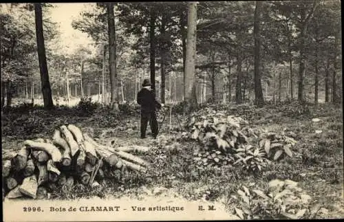 Ak Clamart Hauts de Seine, Les Bois, Vue Artistique