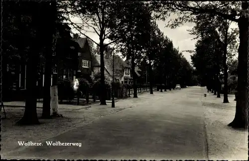 Ak Wolfheze Gelderland Niederlande, Wolfhezerweg