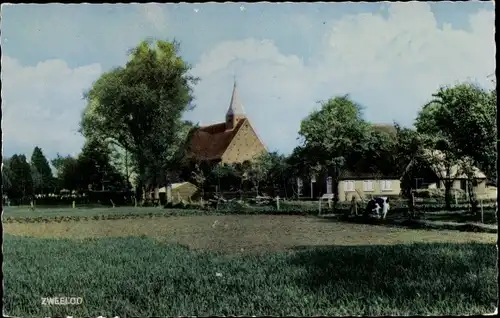 Ak Zweelo Drenthe, Kirche, Kuh