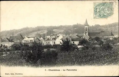 Ak Chanteloup Yvelines, Le Panorama