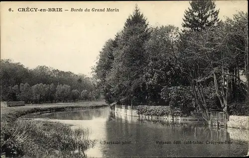 Ak Crecy en Brie Seine et Marne, Bords du Grand Morin, forêt