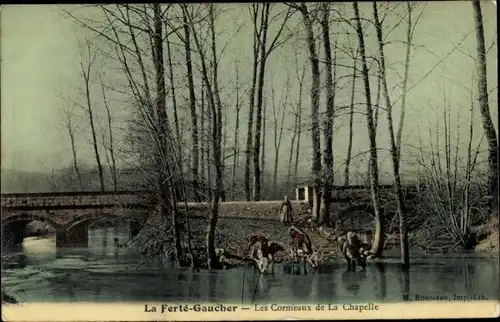 Ak La Ferté Gaucher Seine et Marne, Les Cormeaux de la Chapelle