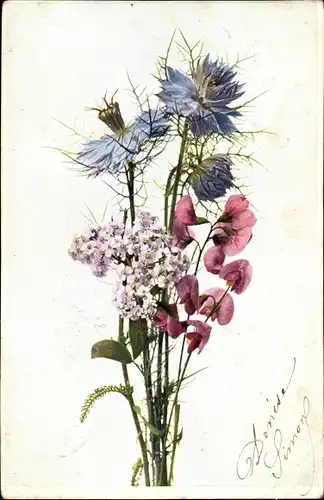 Ak Blumen, Distel, Veilchen