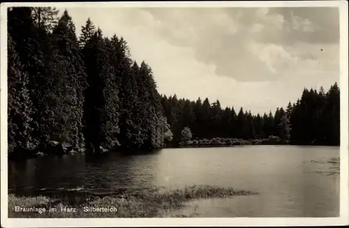 Ak Braunlage im Oberharz, Silberteich