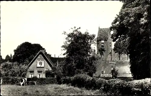 Ak Norg Drenthe, Haus, Kirche, Kuh