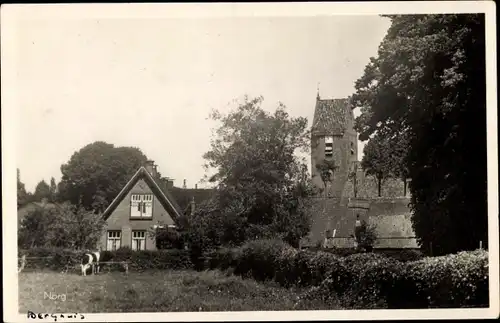 Ak Norg Drenthe, Haus, Kirche, Kuh