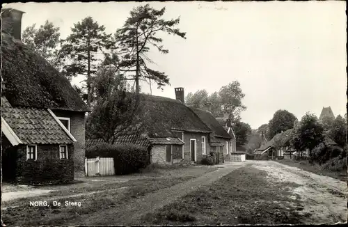 Ak Norg Drenthe, De Steeg, Häuser mit Reetdächern