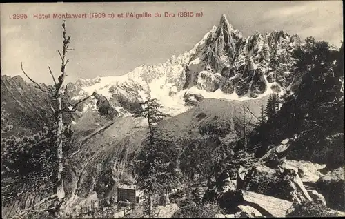 Ak Haute Savoie Frankreich, Hotel Montanvert et l'Aiguille du Dru