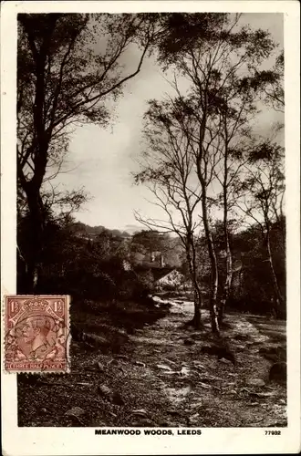 Ak Leeds Yorkshire England, Meanwood Woods