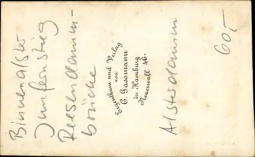 CdV Hamburg um 1880/1890, Binnenalster, Jungfernstieg, Reesendammbrücke, Alsterdamm