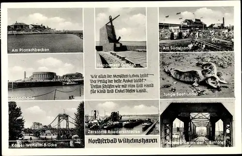 Ak Wilhelmshaven in Niedersachsen, Heppenser Groden, Südstrand, Seehunde, Strandhalle, Brücke