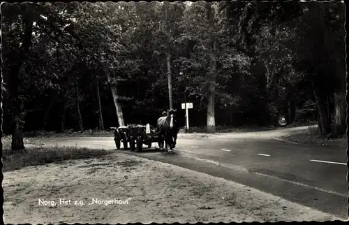 Ak Norg Drenthe, Het z. g. Norgerhout, Pferdefuhrwerk