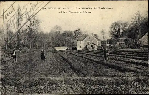 Ak Moigny Essonne, Le Moulin du Ruisseau et les Cressonières