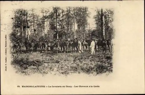 Ak Maisons Laffitte Yvelines, La Cavalerie au Camp, Les Cheveaux a la Corde