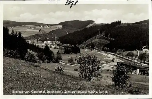 Ak Breitenbrunn im Erzgebirge, Carolathal, Steinheidel, Schwarzwassertal