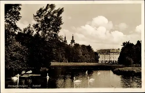 Ak Donaueschingen im Schwarzwald, Partie am Schlossteich, Schwan