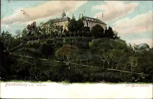 Ak Blankenburg Harz, Schloss, Totalansicht