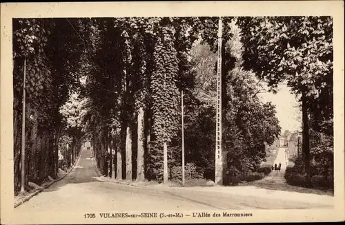 Ak Vulaines sur Seine Seine et Marne, L'Allée des Marronniers