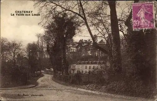 Ak Chatenay Hauts-de-Seine, Vallée aux Loups, voie