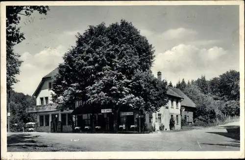 Ak Blomberg im Kreis Lippe, Gast und Sommerfrische Forsthaus