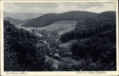 Ak Bad Grund im Harz, Moor und Fichtennadelbad, Blick vom Kaffeehaus