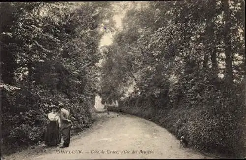 Ak Honfleur Calvados, Côte de Grâce, Allée des Bryeres