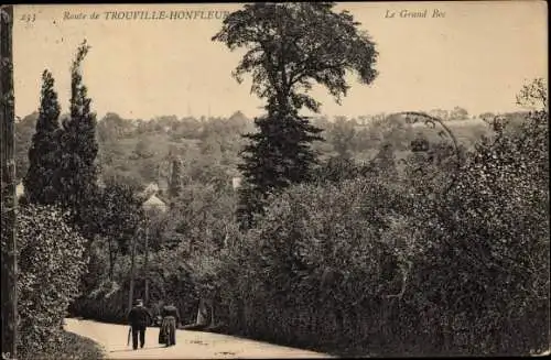 Ak Trouville Calvados, Route de Trouville Honfleur, Le Grand Bec