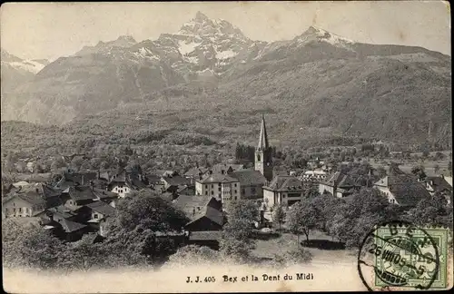 Ak Bex Kanton Waadt, Panorama, La Dent du Midi