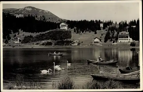 Ak Arosa Plessur Graubünden, Obersee, Ruderpartie, Schwäne