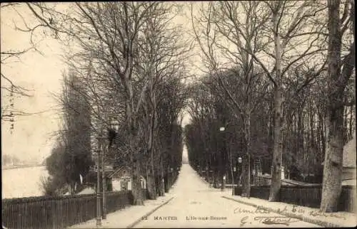 Ak Mantes Yvelines, L´Île aux Dames