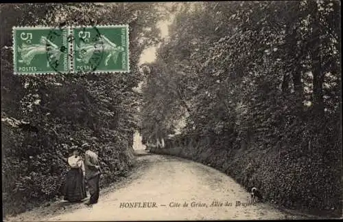 Ak Honfleur Calvados, La Côte de Grâce, Allée des Bruyères