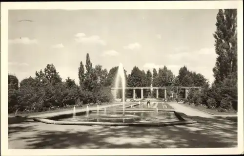 Ak Forst in der Niederlausitz, Ostdeutscher Rosengarten