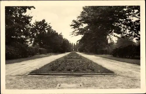 Ak Forst in der Niederlausitz, Ostdeutscher Rosengarten, Wehrinsel