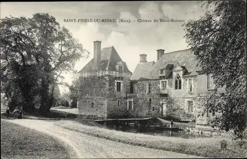 Ak Saint Pierre du Mesnil Eure, Le Château du Blanc Buisson