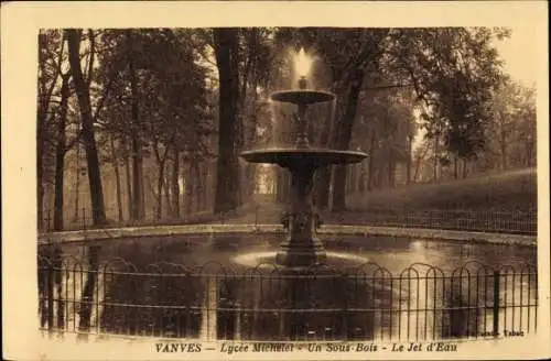 Ak Vanves Hauts de Seine, Lycée Michelet, Un Sous Bois, Le Jet d'Eau