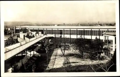 Ak Suresnes Hauts de Seine, École de plein air Permanente, Les terrasses