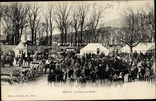 Ak Melle Deux Sèvres, La Foire aux Mules