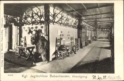 Ak Bebenhausen Tübingen am Neckar, Königliches Jagdschloss, Hirschgang