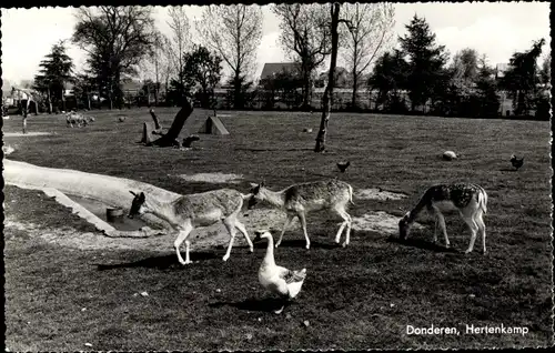 Ak Donderen Drenthe, Hertenkamp